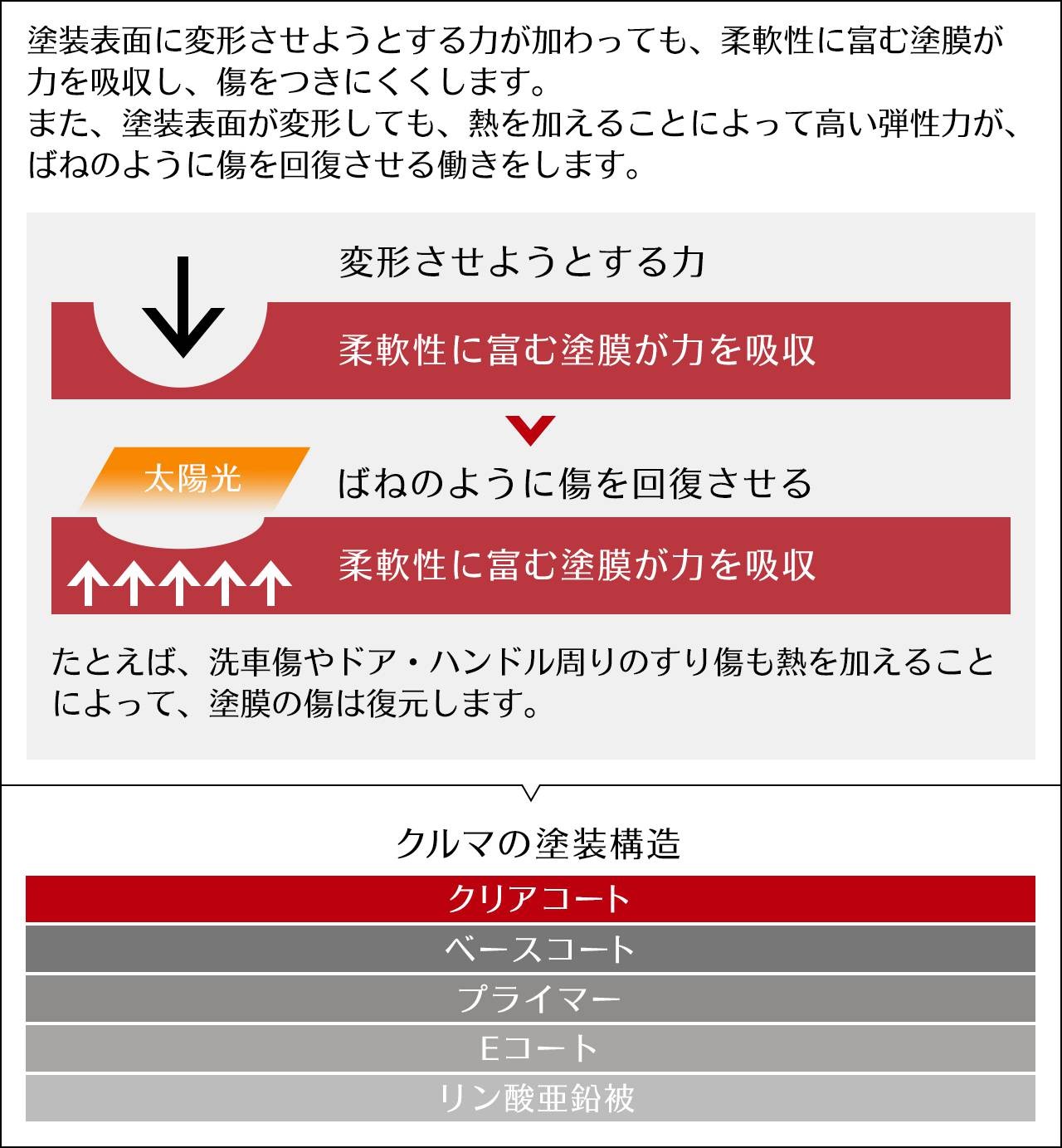 塗膜の復元イメージ